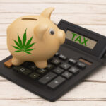 tax webinars